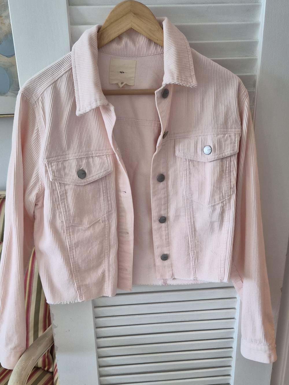 Cropped Light Pink Corduroy Jacket - Women's